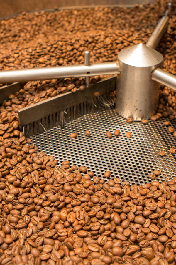 The Future of Regenerative Coffee